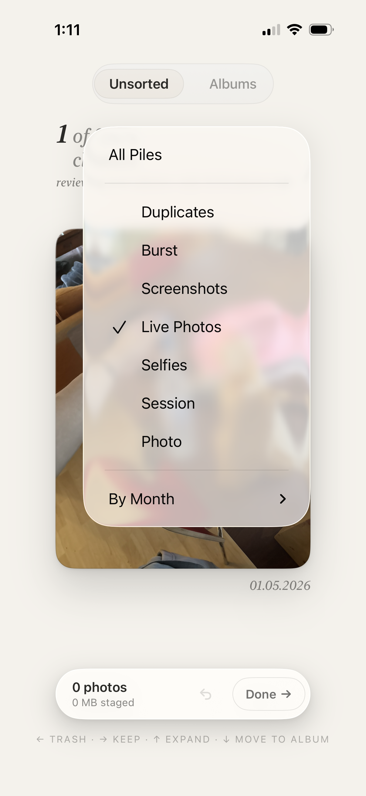 Pile's cluster category dropdown: Duplicates, Burst, Screenshots, Live Photos, Selfies, Session, Photo, By Month